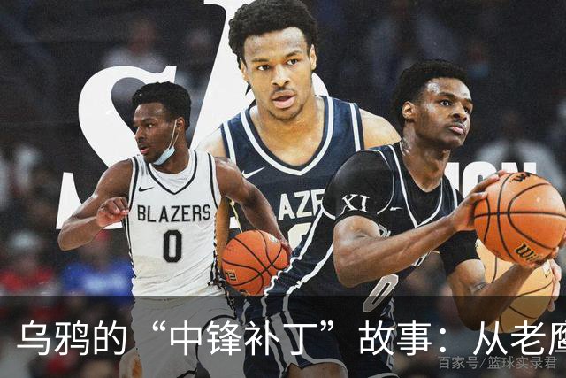 乌鸦的“中锋补丁”故事：从老鹰飞来一位新朋友