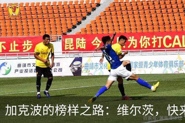 加克波的榜样之路：维尔茨，快来这儿捡经验吧！